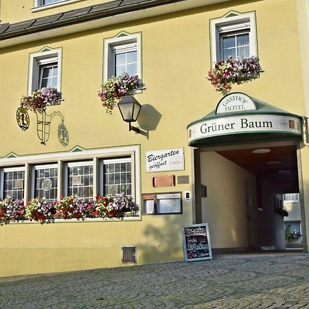 Hotel Grüner Baum Naila Exterior foto