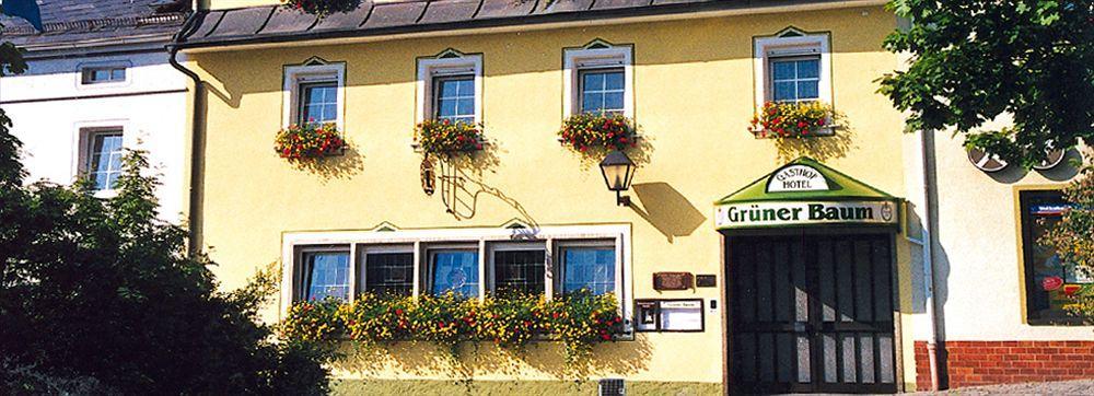Hotel Grüner Baum Naila Exterior foto