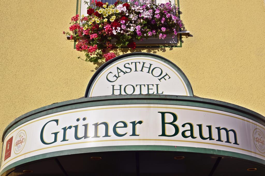 Hotel Grüner Baum Naila Exterior foto