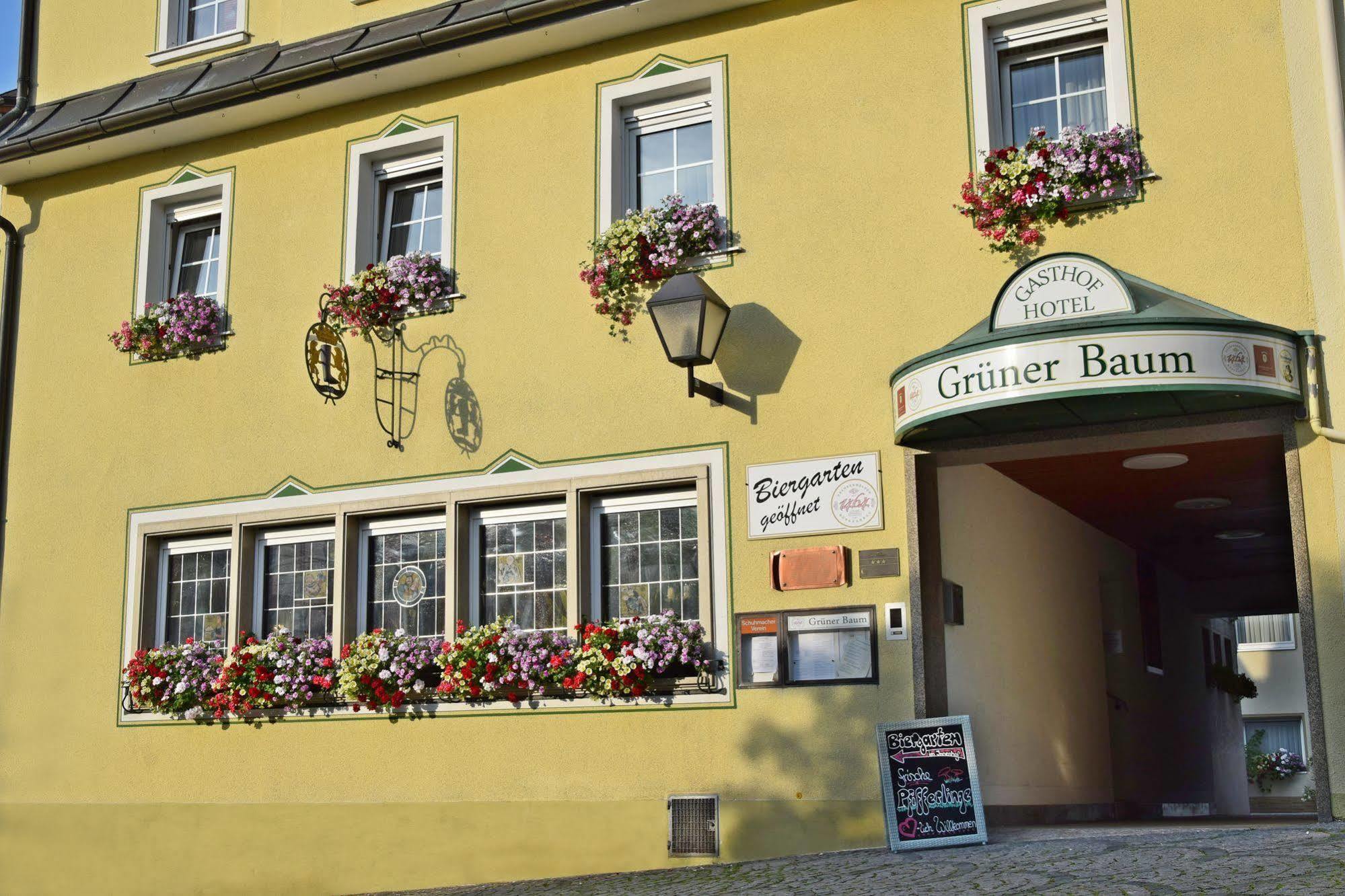 Hotel Grüner Baum Naila Exterior foto
